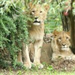 1506867_profimedia0301394778_ls