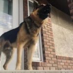 1456001profimedia0328830746ls