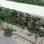 37296254_10214580878547152_1220329178071564288_n