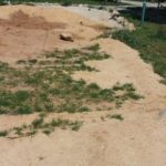 37305814_10214580878227144_3993007013209571328_n