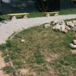 37314811_10214580879227169_2694922034974031872_n