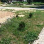 37315310_10214580878987163_7729045785207111680_n