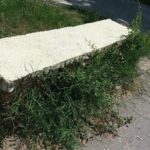 37334363_10214580879067165_1078669147920924672_n