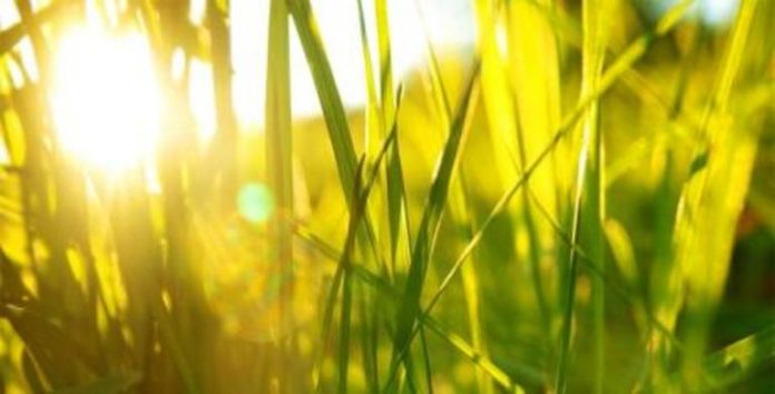 sonce-04-57083-113035