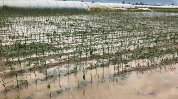 strumicko-nevreme-960x537