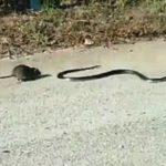 33923857_639348253065471_3559896734349918208_n