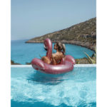 36532613_645899255787061_2045492863508152320_n