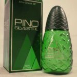 pino-silvestre