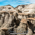 Bisti-De-Na-Zin-Wilderness-Area-New-Mexico-20150124-MG-1500-Edit