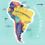 south-america-1