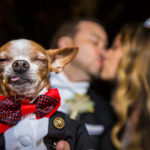 These Are The Most Awesome Wedding Photos Of 2018 4