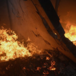 Screenshot_1
