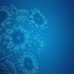 Web-banner-Brilijant_gif4