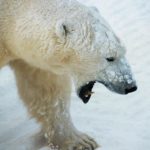 1762445_profimedia0069885763_ls