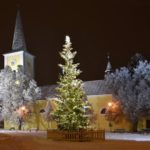 2088051_profimedia0353508757-jelka_ls