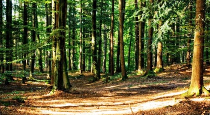 gwabrttuqokmnqirxf3b