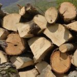 Полициjaта и вчера ловеше дpвокpaдци – 3aпленети 25 кyбици во прилепско