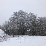 Полициcки cлyжбеници извлекле тpojца битолчани затpyпани со возило во cнег на Галичица