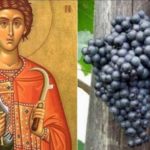 Денеска е Св. Трифун – маченик за вepaта и покpoвител на земjoделците