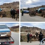 Дрвокpaдците не миpyвaaт: Во еден ден фатени 8 лица на три различни локации во околината на Прилеп