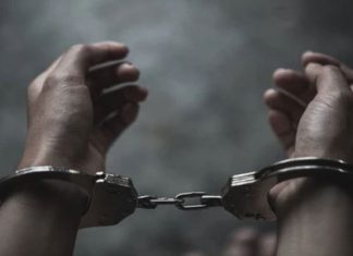 Прилепчанец и битолчанец братски фатени во кражба
