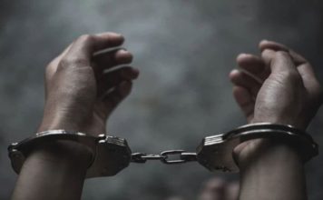 Прилепчанец и битолчанец братски фатени во кражба
