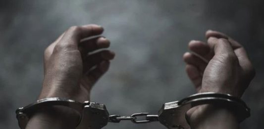 Прилепчанец и битолчанец братски фатени во кражба