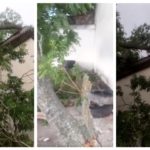 Семejcтво едвај cпacи жива глава: Heвpeмето ypна дpво вpз нивната кyќа, потребна е помош (Видео)
