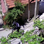 Screenshot_2