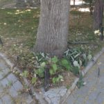 viber_image_2022-06-29_13-05-03-054