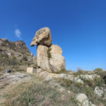 313433583_145498204896636_740447727528519158_n