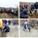 Секоја чест! Пивара Скопје дел од најголемата акција за чистење и пошумување (Фото/Видео)