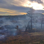 Пожарникари од Прилеп, Кривогаштани и Крушево од попладнево гаснат силен пожар помеѓу селата Подвис и Годивје