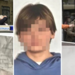 Споделени детали од вештачењето: Еве што пребарувал во телефонот малиот монструм пред извршување на злосторството
