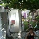 362232839_24362063383392894_2577717843705903553_n_blurr