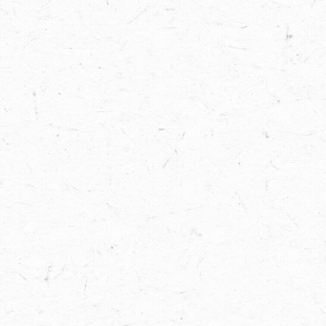 300 x 300