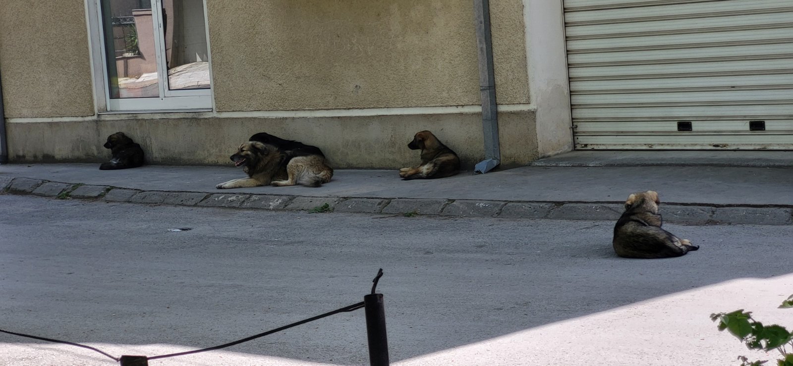 viber_image_2024-04-15_12-59-46-712