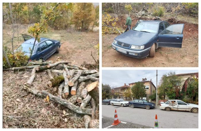 Голема акција на прилепската полиција: Се апсеа дрвокрадци на повеќе локации (ФОТО)