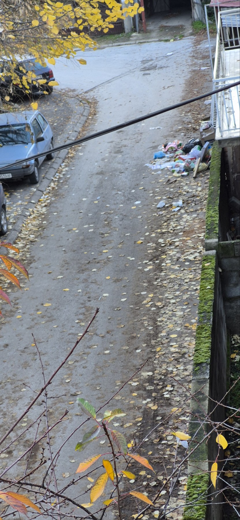 viber_image_2025-11-13_07-02-03-510