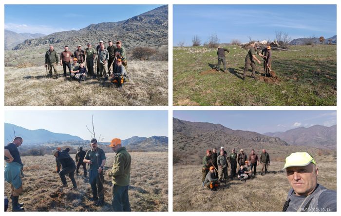 Ловџиите од „Мукос“ засадија бадемови дрвца во Мариово – успешна еколошка акција за подобрување на природната средина (ФОТО)