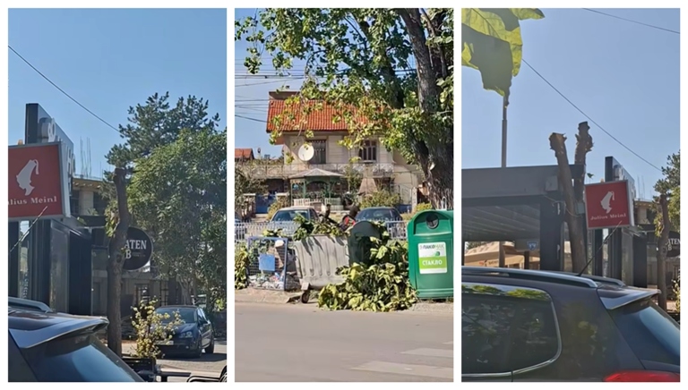 Уништени уште две прекрасни дрвја, реагираат граѓаните, “Комуналец” и oпштината спијат