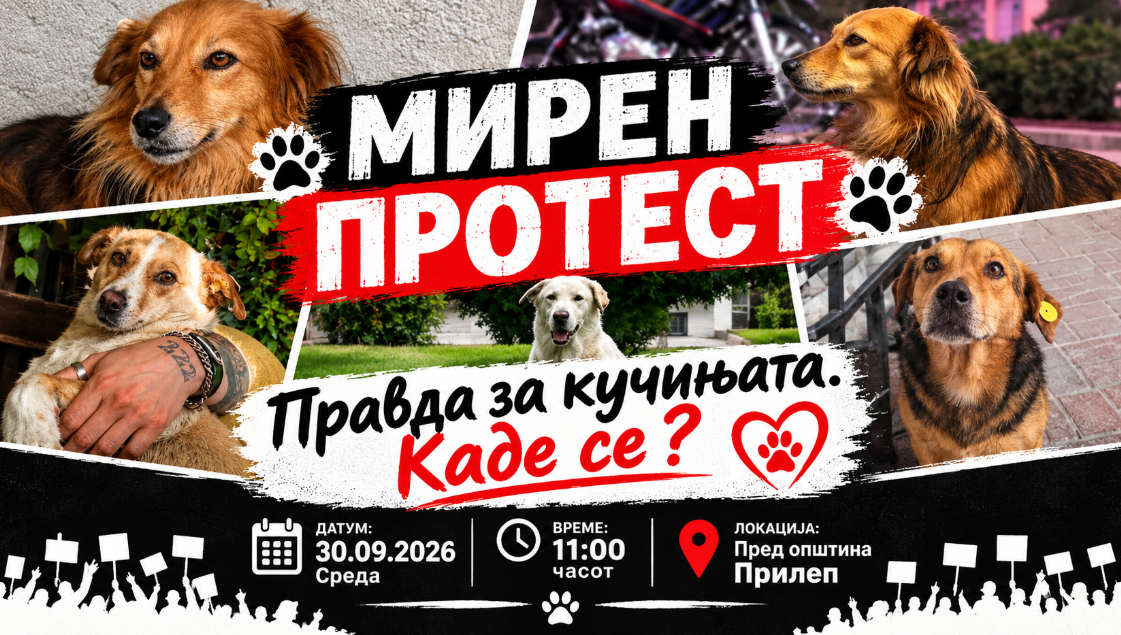 „Правда за кучињата. Каде се?“ – активисти повикуваат на мирен протест пред Општина Прилеп