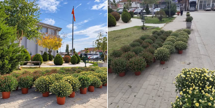 Малото Кривогаштани блеска од убавина! Центарот доби ново, цветно руво